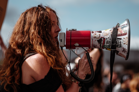 Protest